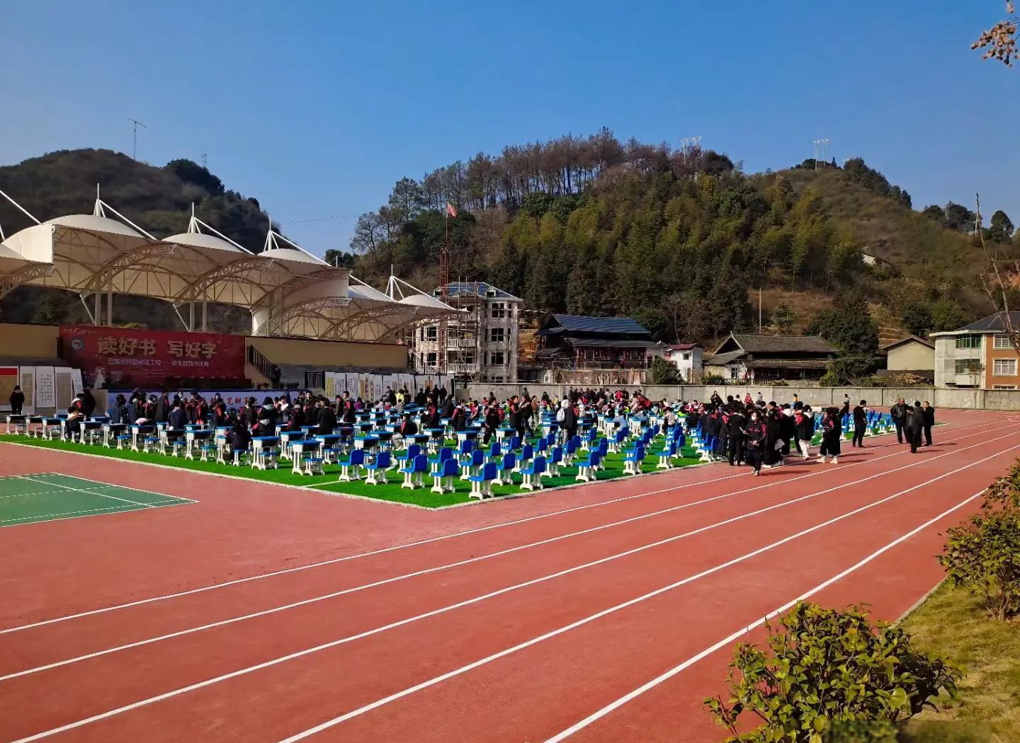 辽阳市硅PU人造草坪 - 方案
